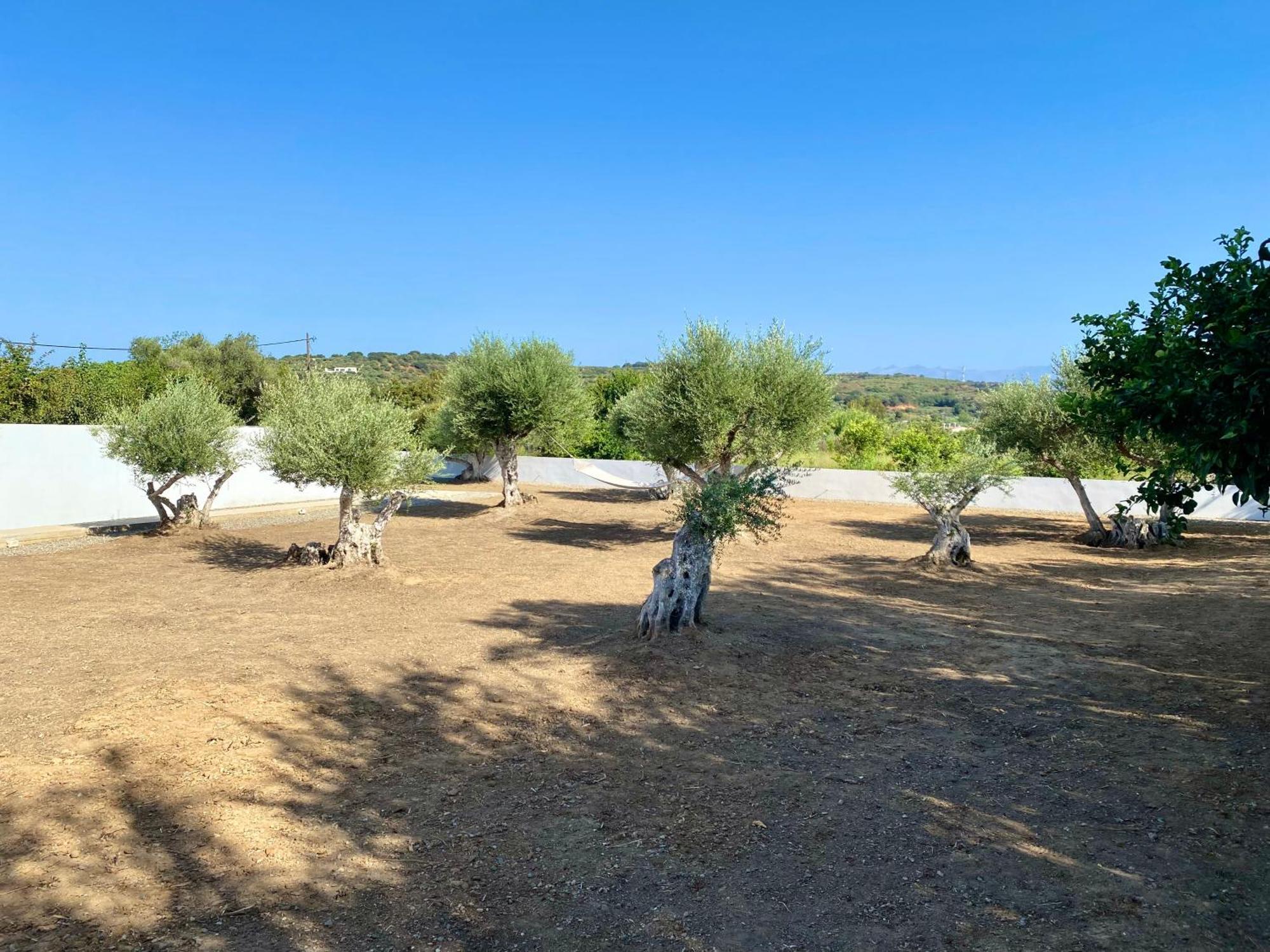 Lefko Apartments Ταυρωνίτης Εξωτερικό φωτογραφία